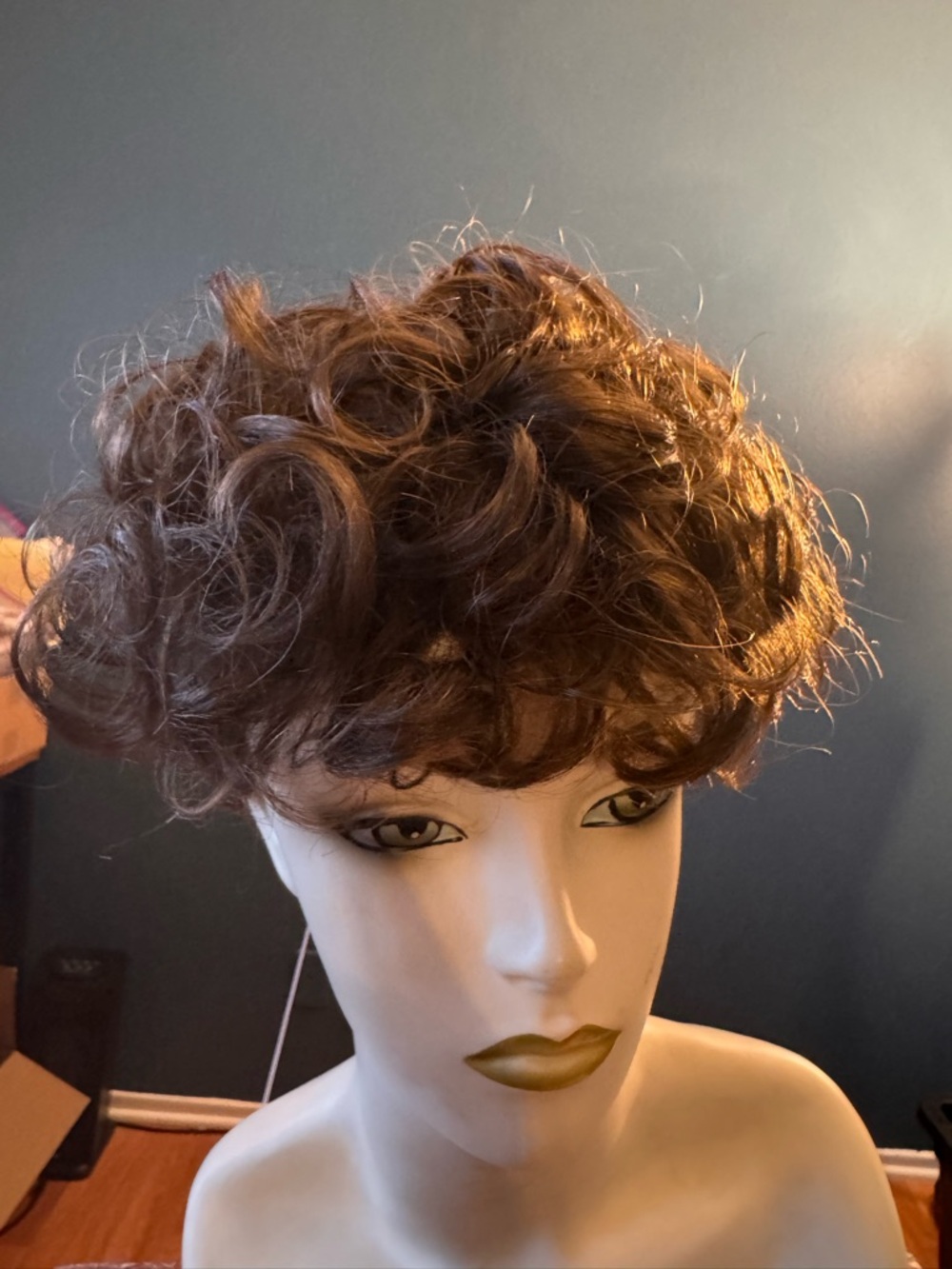 envy Short Curly Brown Women's Wig